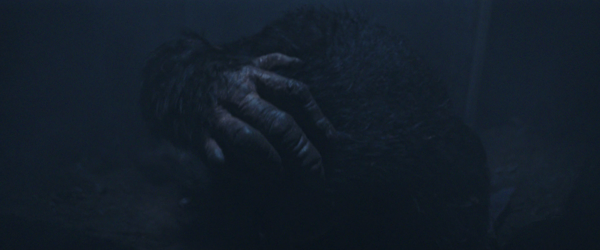 War for the Planet of the Apes (2017) screencap 14451