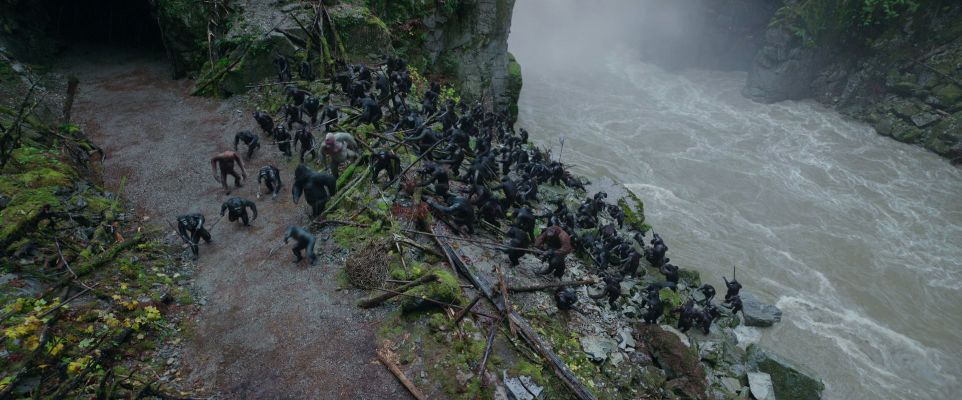 War for the Planet of the Apes (2017) screencap 1446