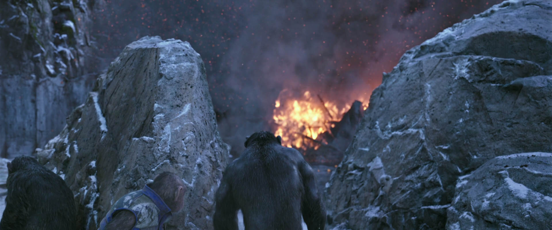 War for the Planet of the Apes (2017) movie still 14473