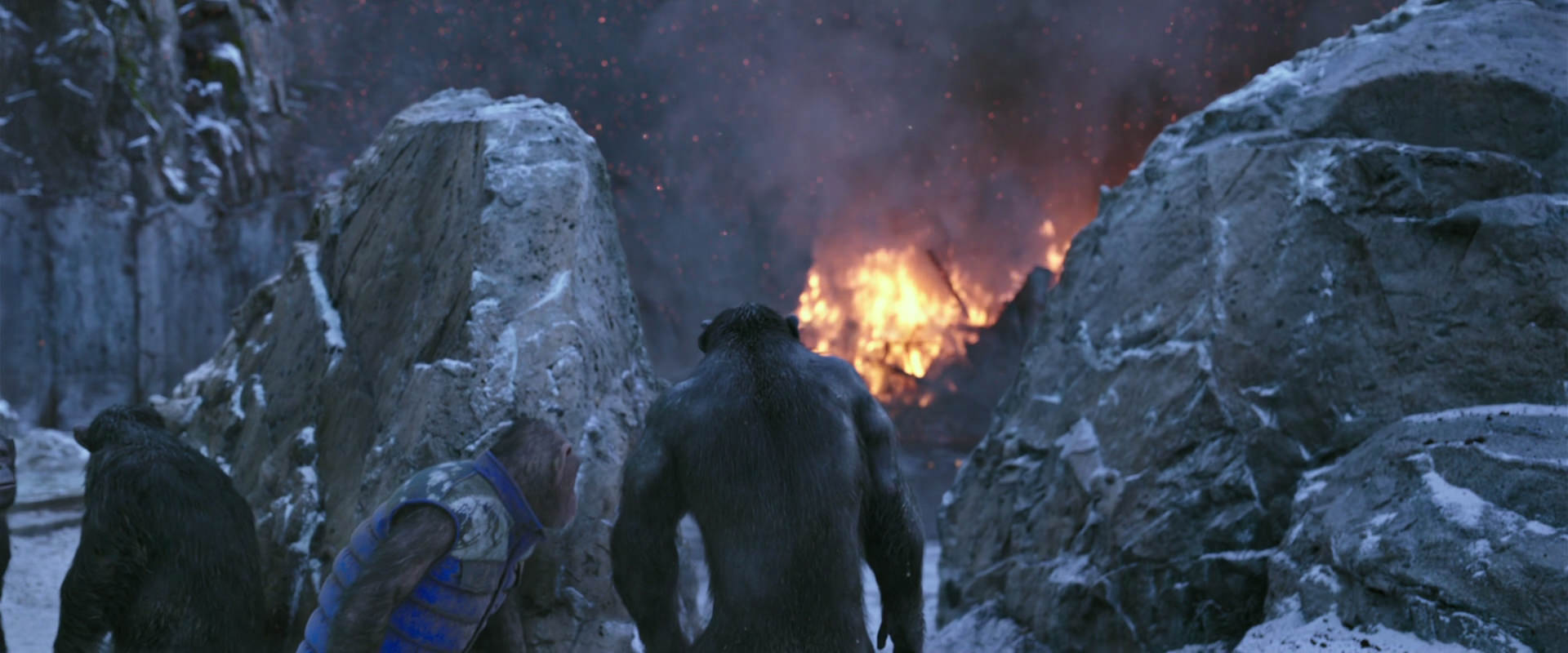 War for the Planet of the Apes (2017) screencap 14475