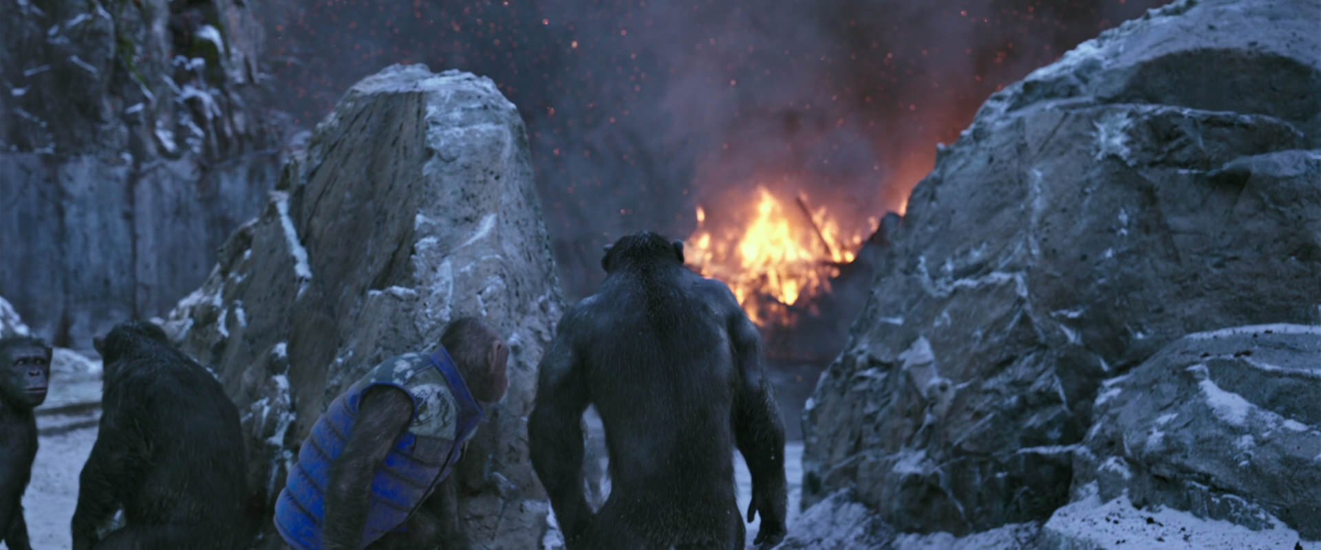 War for the Planet of the Apes (2017) movie still 14476
