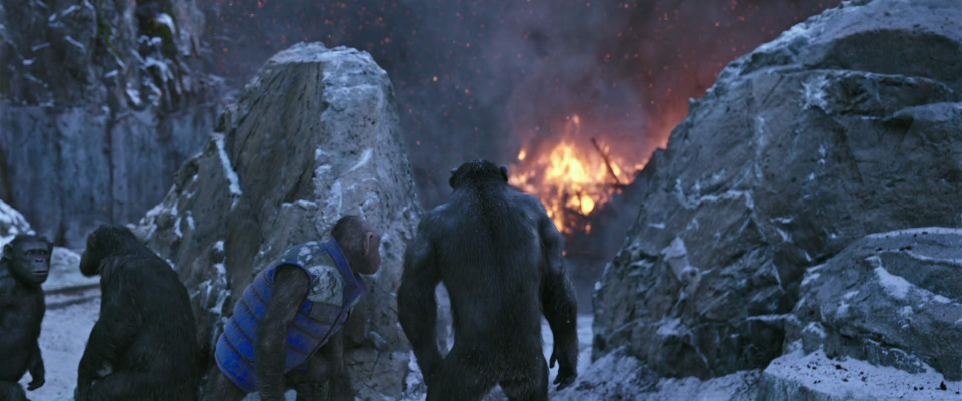 War for the Planet of the Apes (2017) HD screenshot 14477