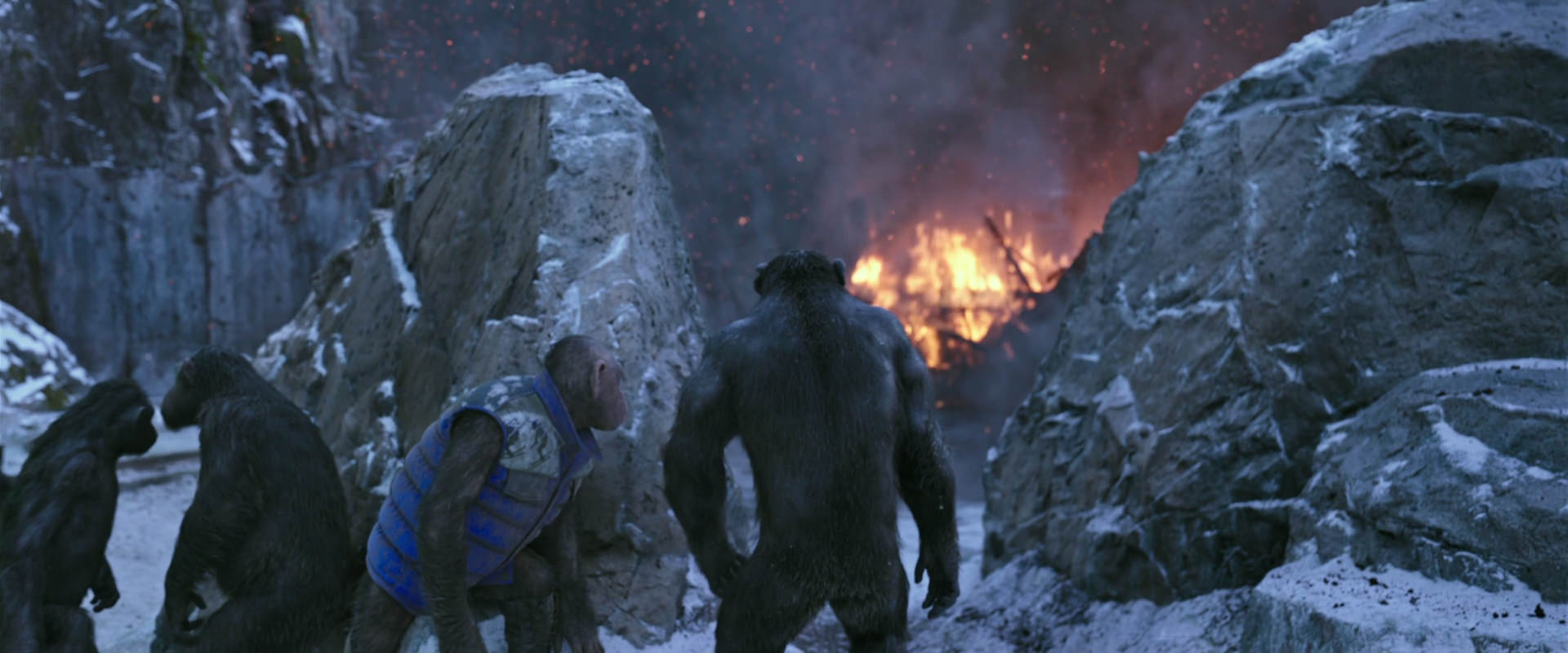 War for the Planet of the Apes (2017) screencap 14478