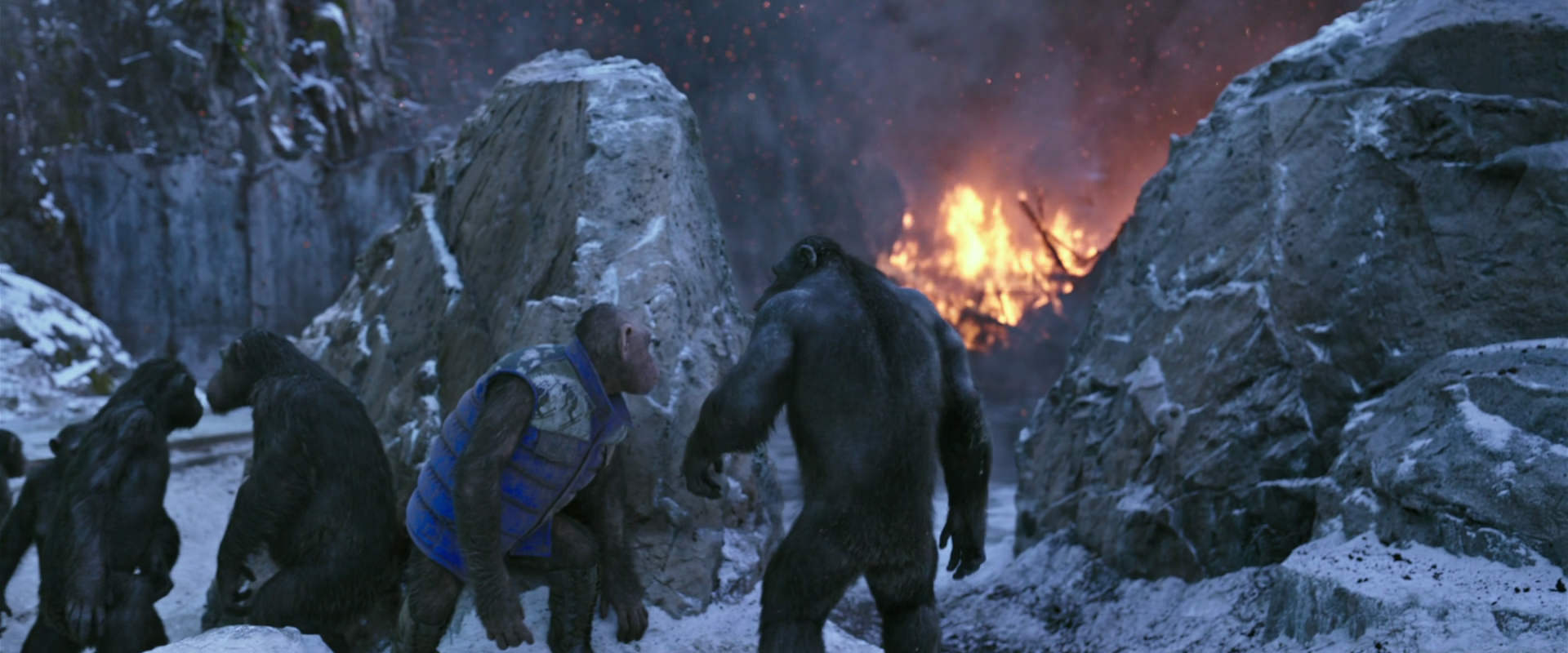 War for the Planet of the Apes (2017) movie still 14479