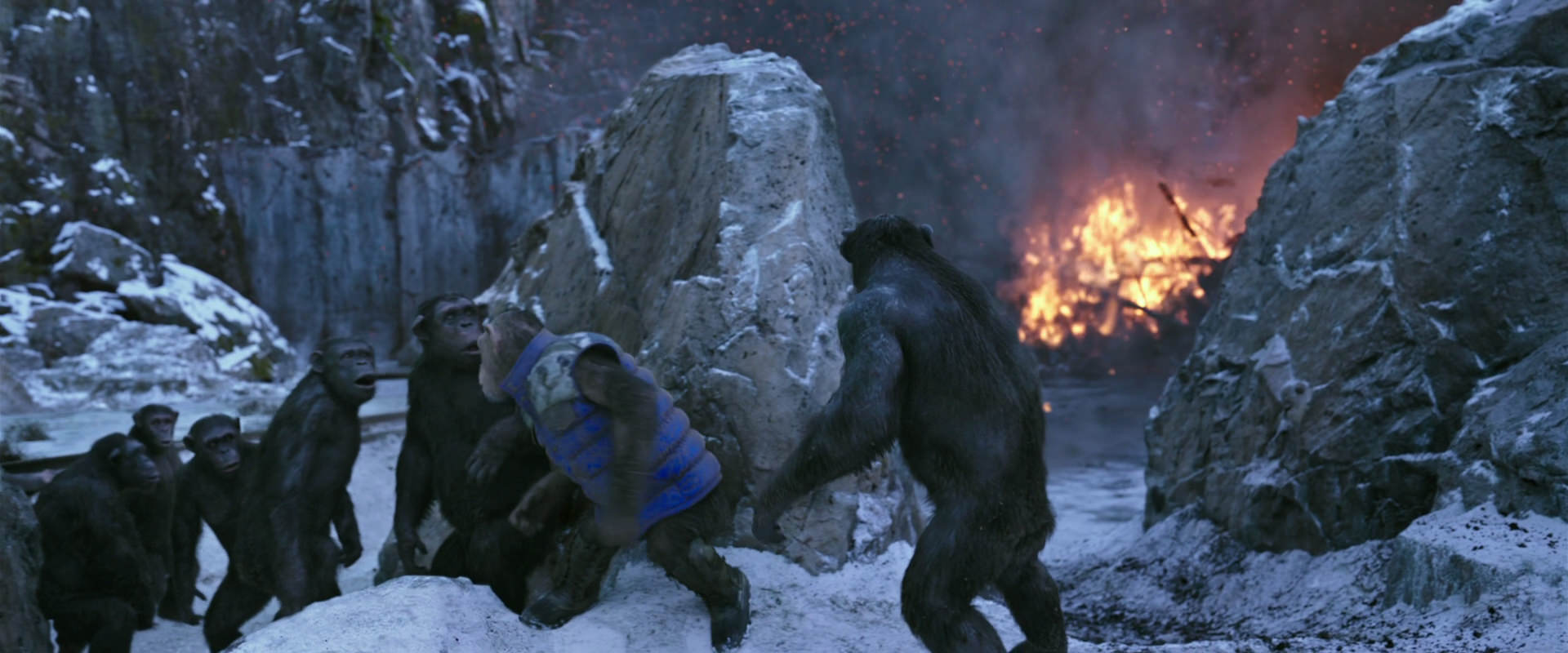 War for the Planet of the Apes (2017) movie still 14482