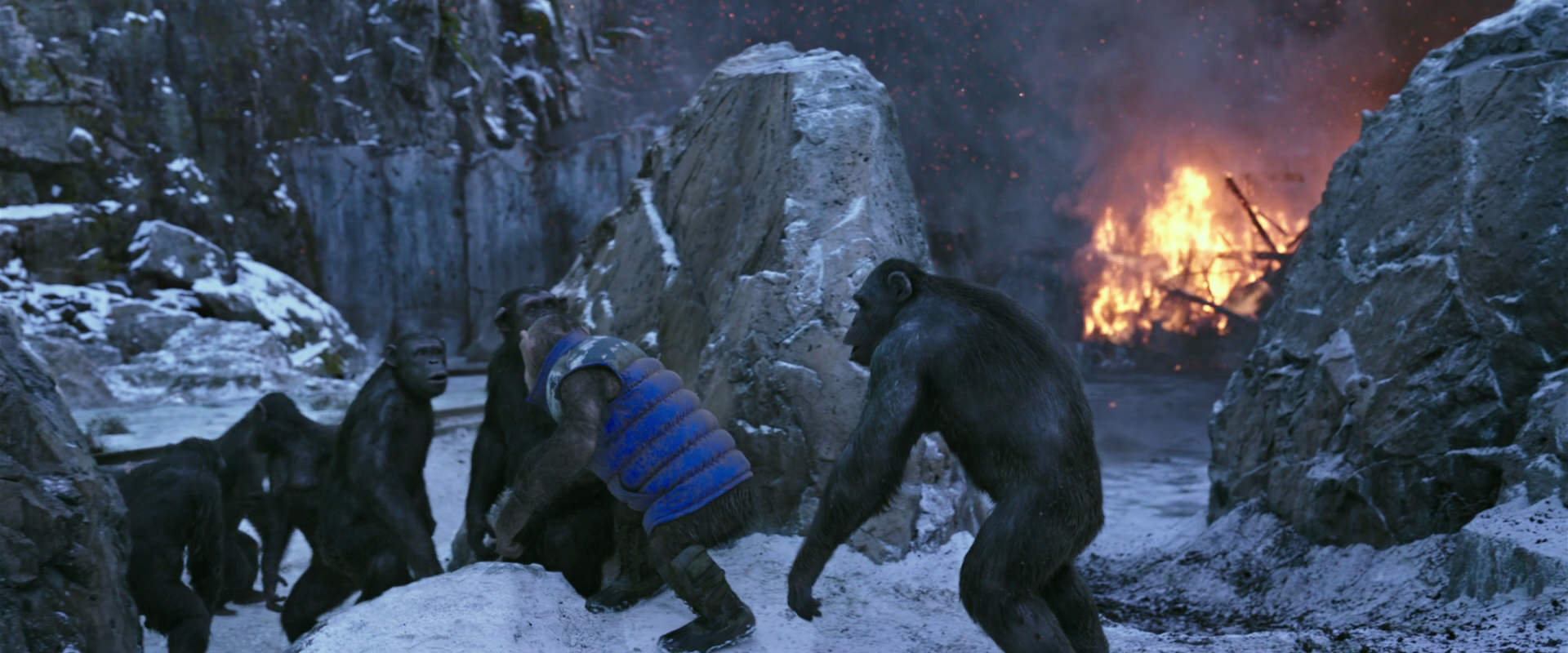 War for the Planet of the Apes (2017) HD screenshot 14483