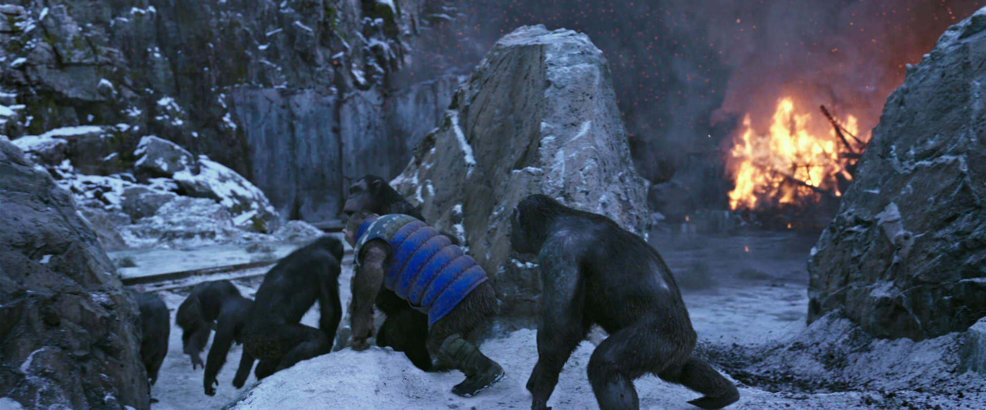 War for the Planet of the Apes (2017) screencap 14484