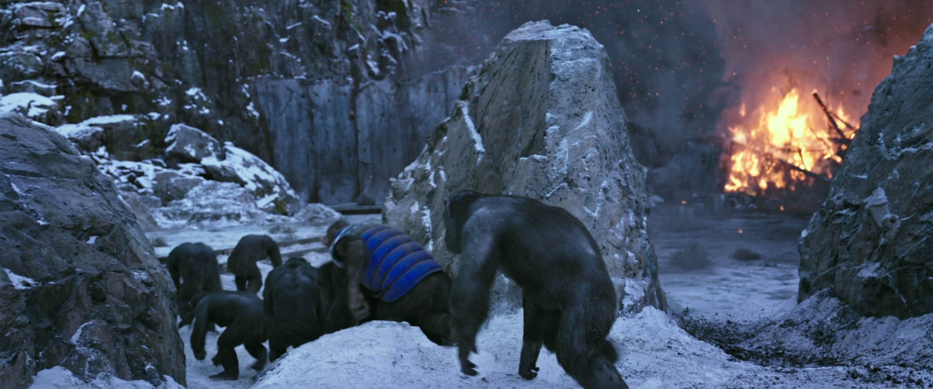 War for the Planet of the Apes (2017) movie still 14485