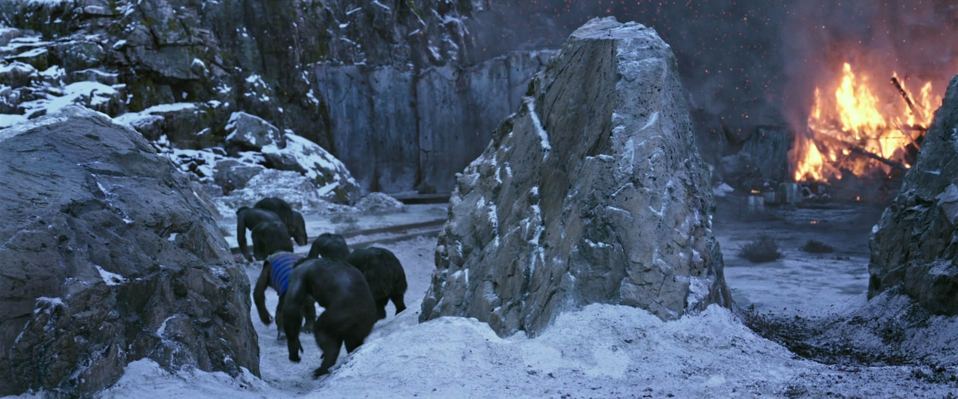 War for the Planet of the Apes (2017) movie still 14488