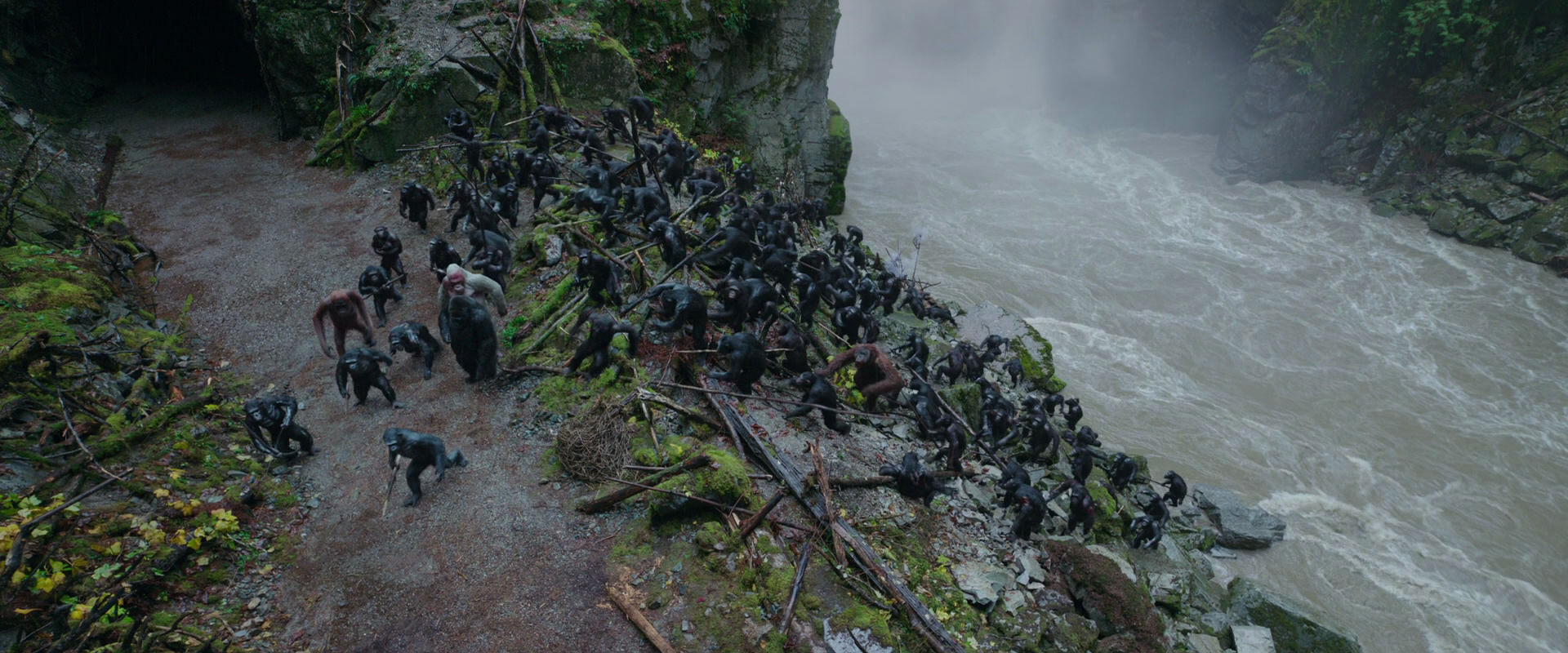 War for the Planet of the Apes (2017) screencap 1449