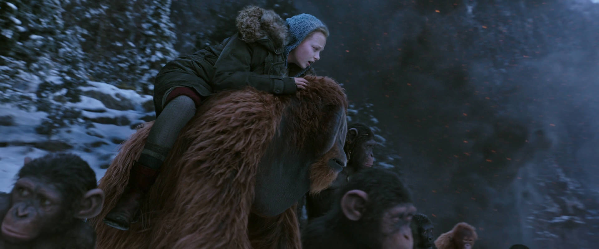 War for the Planet of the Apes (2017) movie still 14497