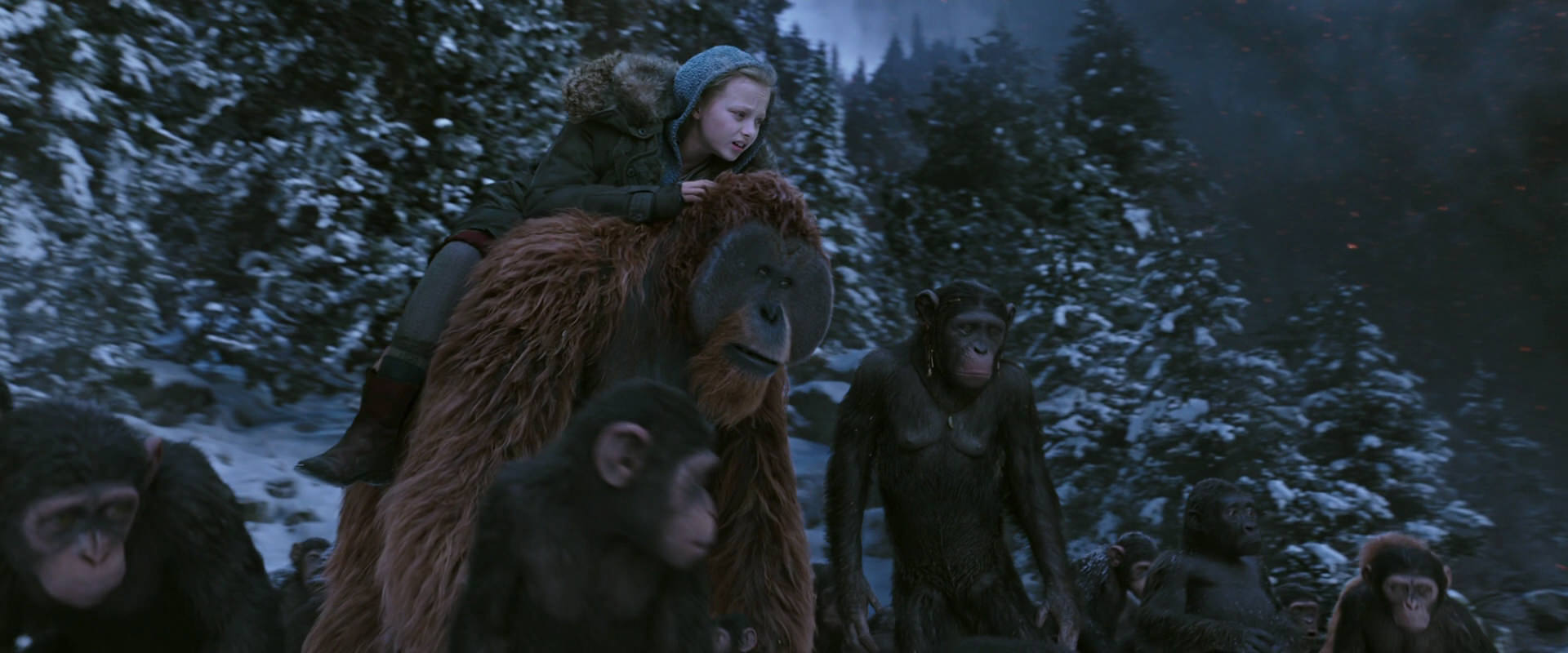 War for the Planet of the Apes (2017) screencap 14499