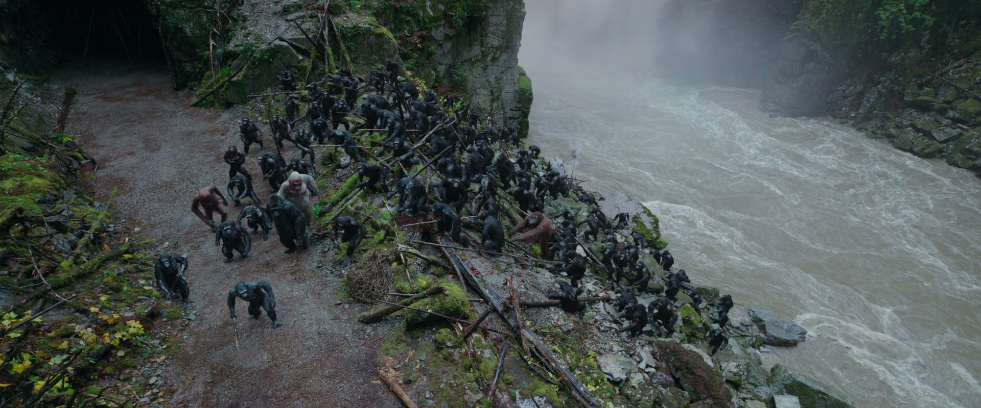 War for the Planet of the Apes (2017) movie still 1450