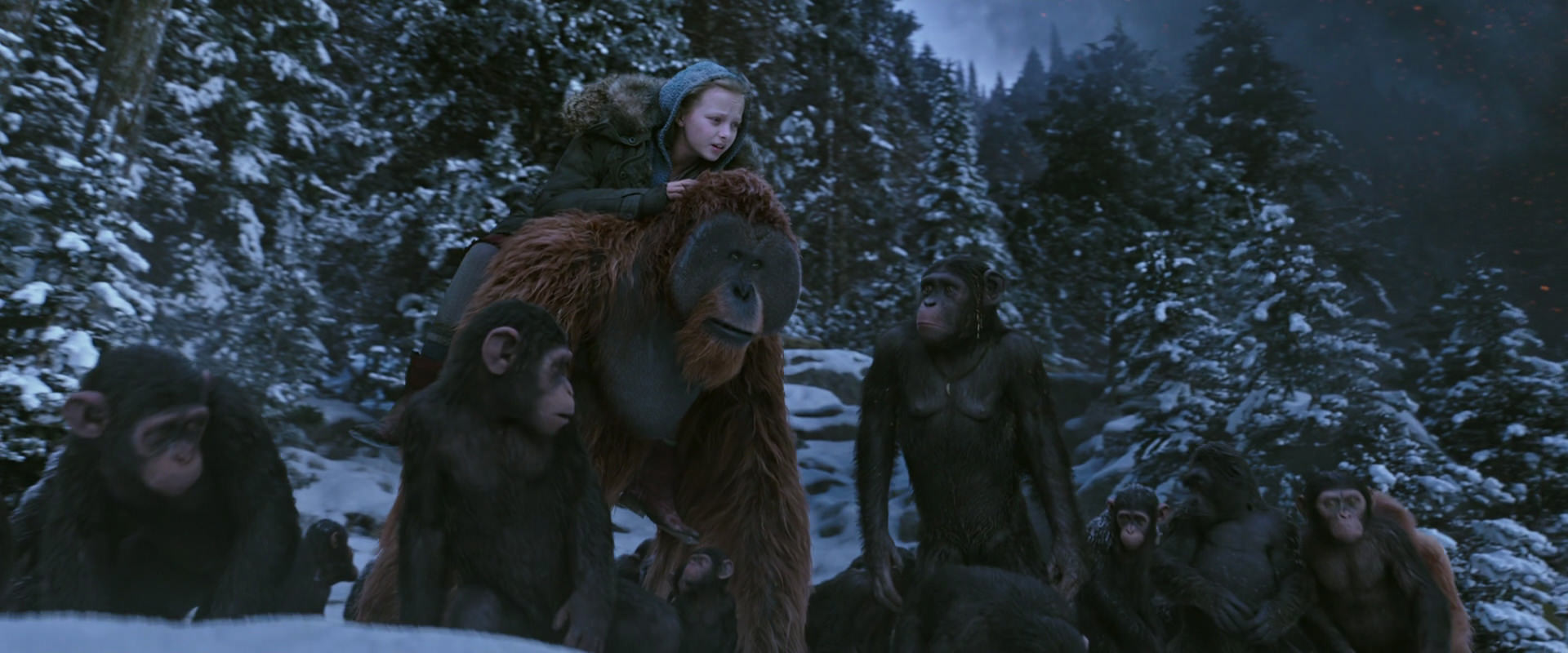 War for the Planet of the Apes (2017) movie still 14500
