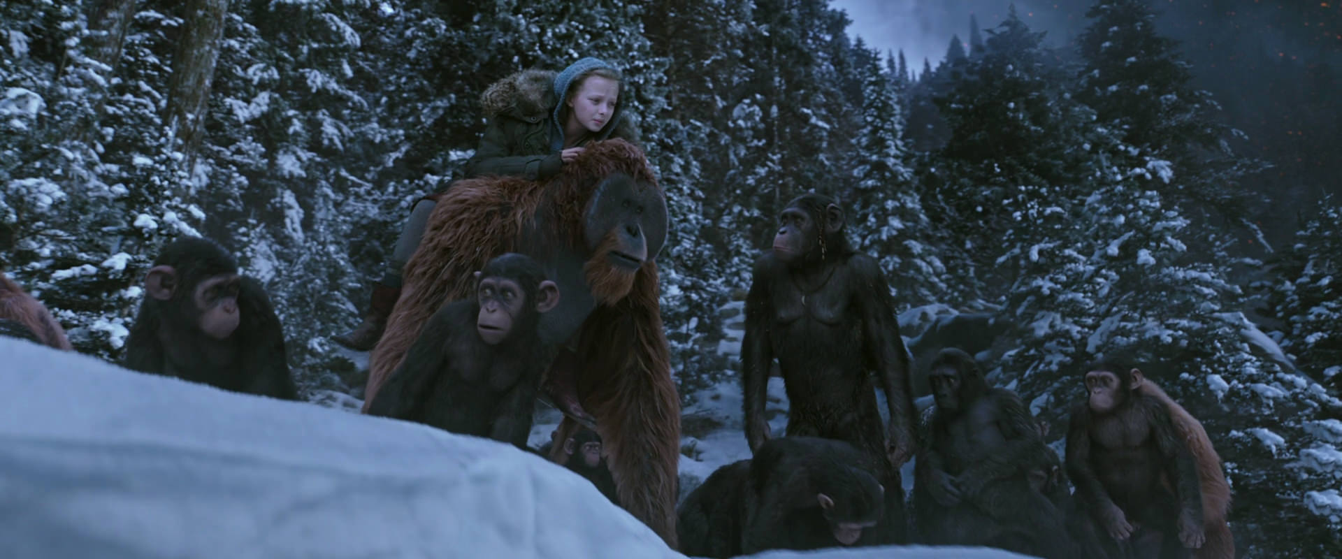 War for the Planet of the Apes (2017) HD screenshot 14501