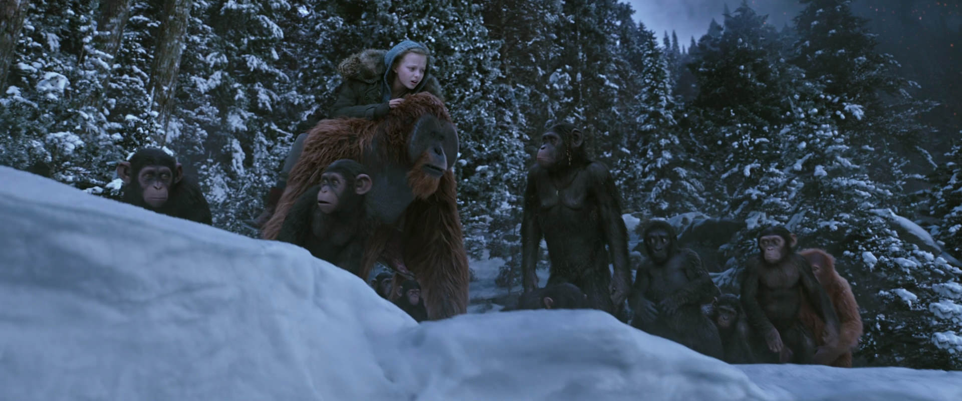 War for the Planet of the Apes (2017) screencap 14502