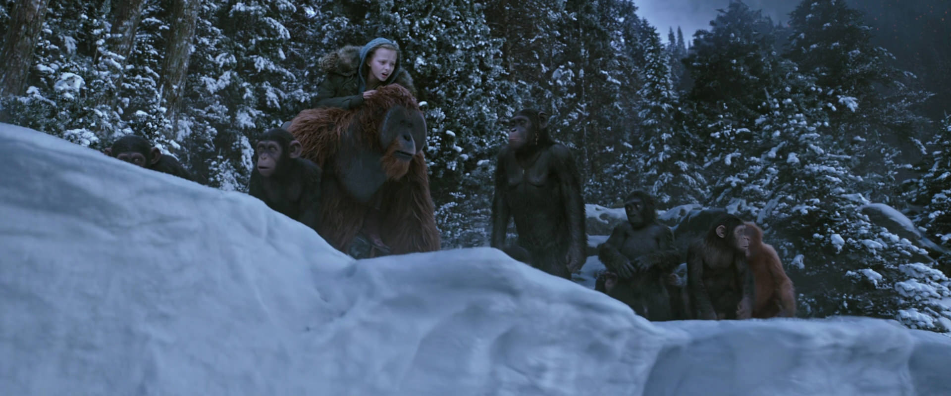 War for the Planet of the Apes (2017) movie still 14503