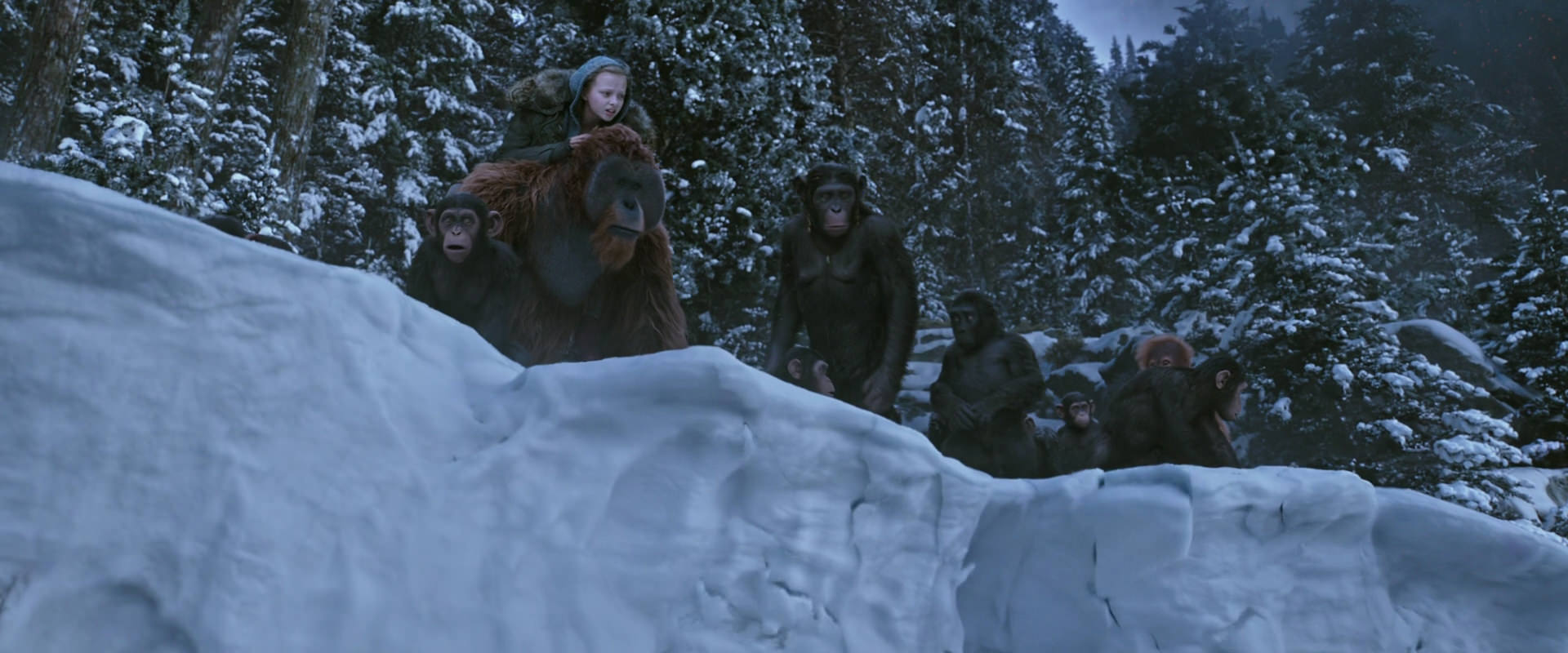 War for the Planet of the Apes (2017) HD screenshot 14504