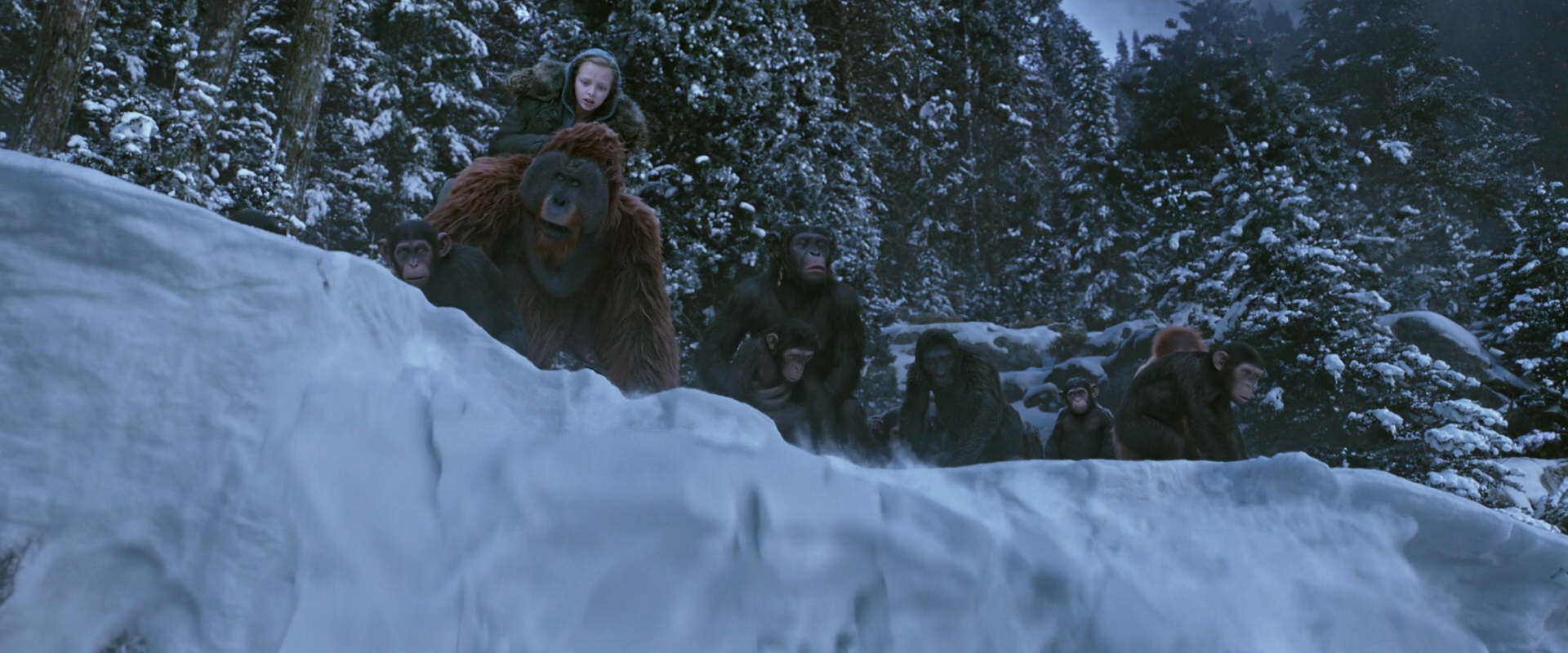 War for the Planet of the Apes (2017) screencap 14505