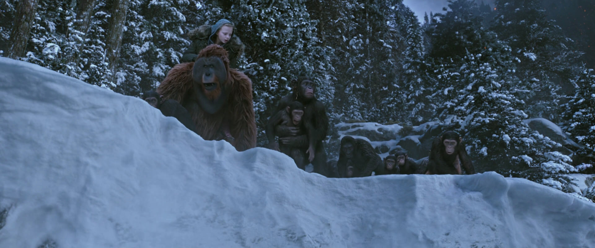 War for the Planet of the Apes (2017) movie still 14506