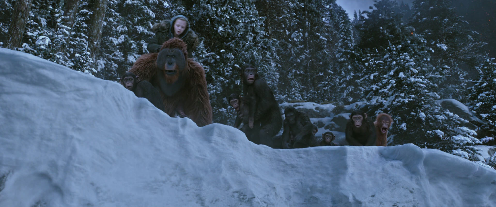 War for the Planet of the Apes (2017) HD screenshot 14507