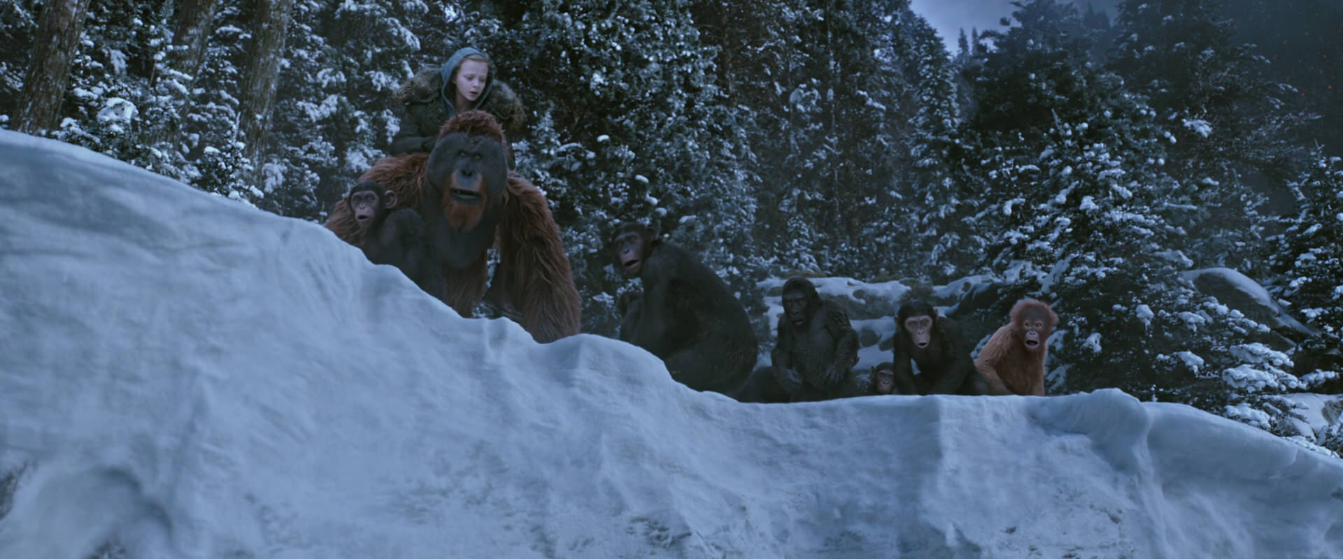 War for the Planet of the Apes (2017) screencap 14508