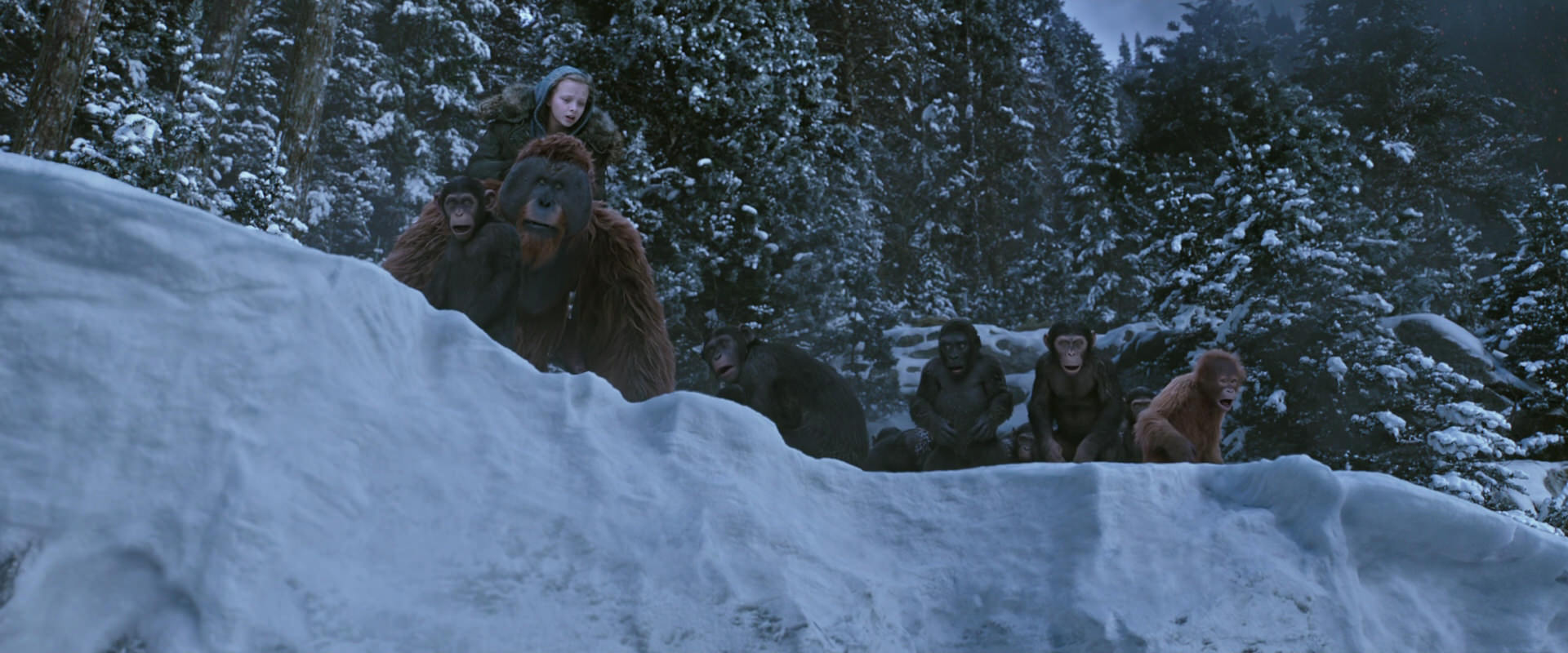 War for the Planet of the Apes (2017) movie still 14509