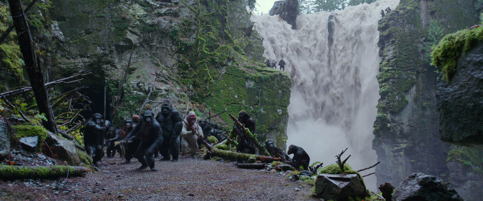 War for the Planet of the Apes (2017) HD screenshot 1451