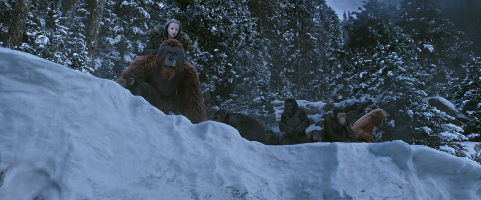 War for the Planet of the Apes (2017) HD screenshot 14510