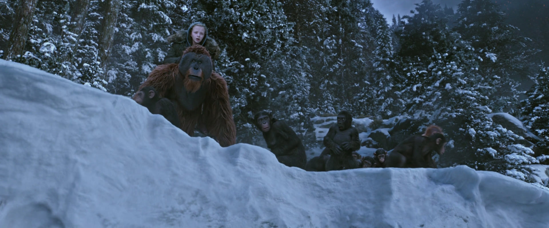 War for the Planet of the Apes (2017) screencap 14511