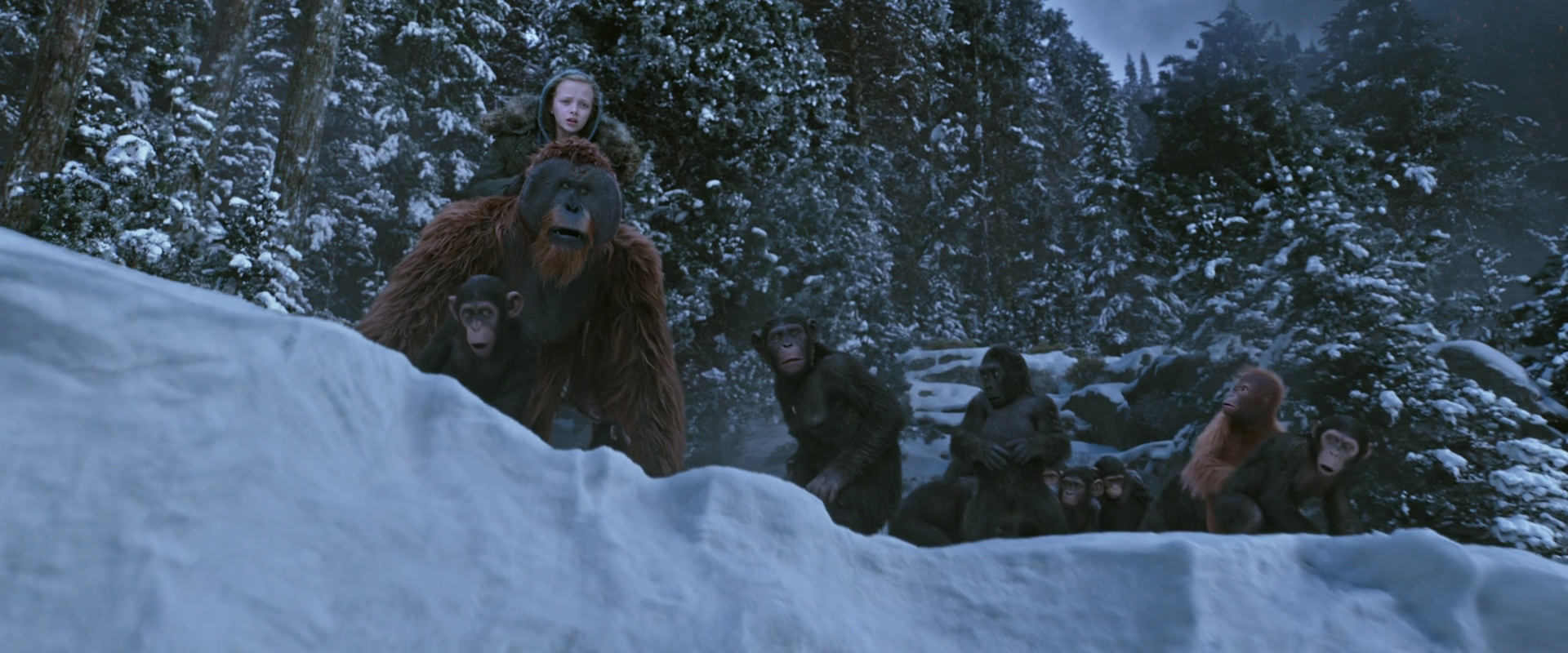 War for the Planet of the Apes (2017) movie still 14512