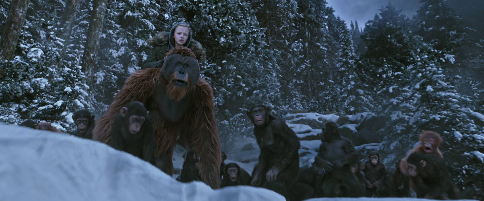 War for the Planet of the Apes (2017) HD screenshot 14513
