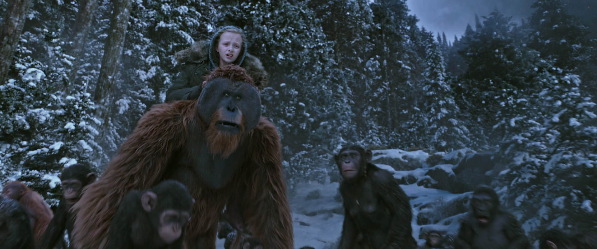 War for the Planet of the Apes (2017) screencap 14514