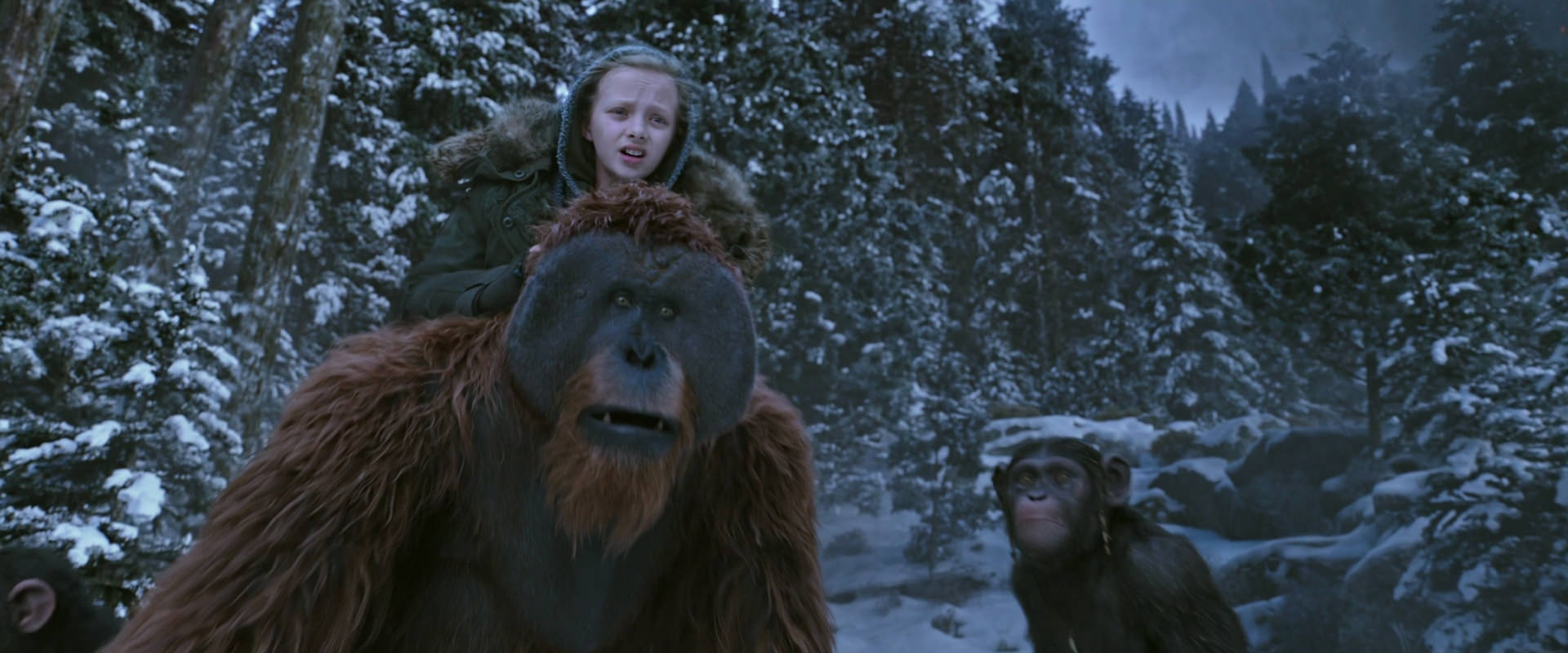 War for the Planet of the Apes (2017) movie still 14515