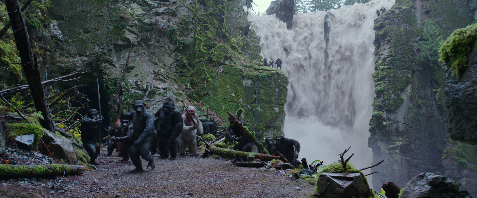 War for the Planet of the Apes (2017) screencap 1452