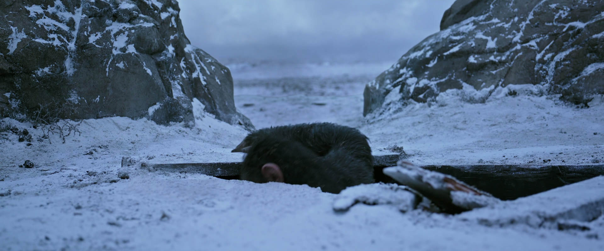 War for the Planet of the Apes (2017) HD screenshot 14522