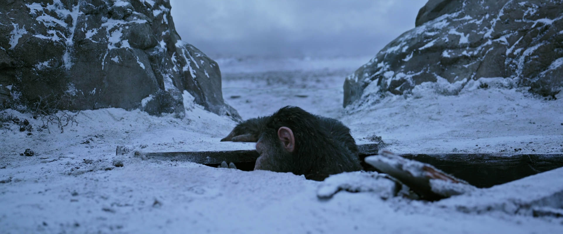 War for the Planet of the Apes (2017) screencap 14523