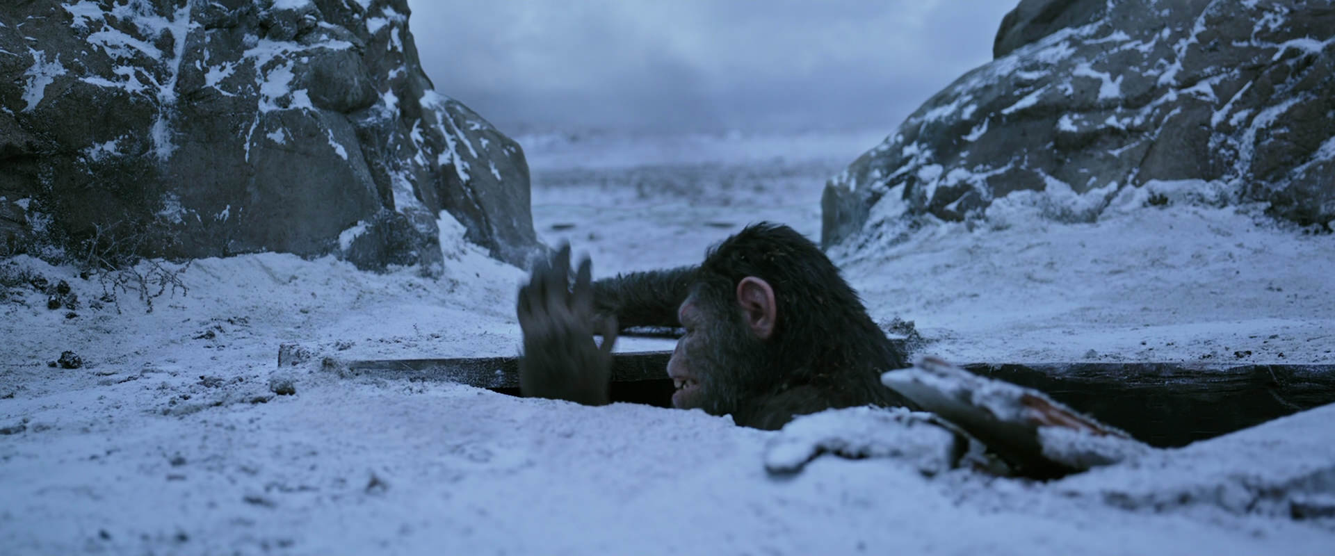 War for the Planet of the Apes (2017) movie still 14524