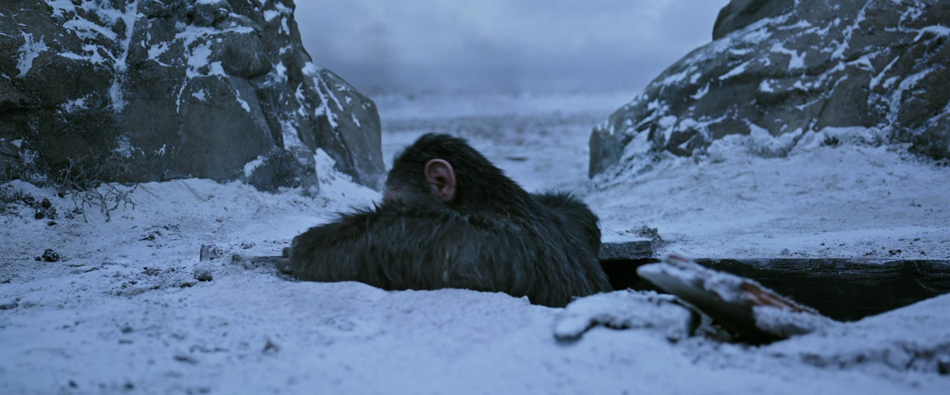 War for the Planet of the Apes (2017) HD screenshot 14525
