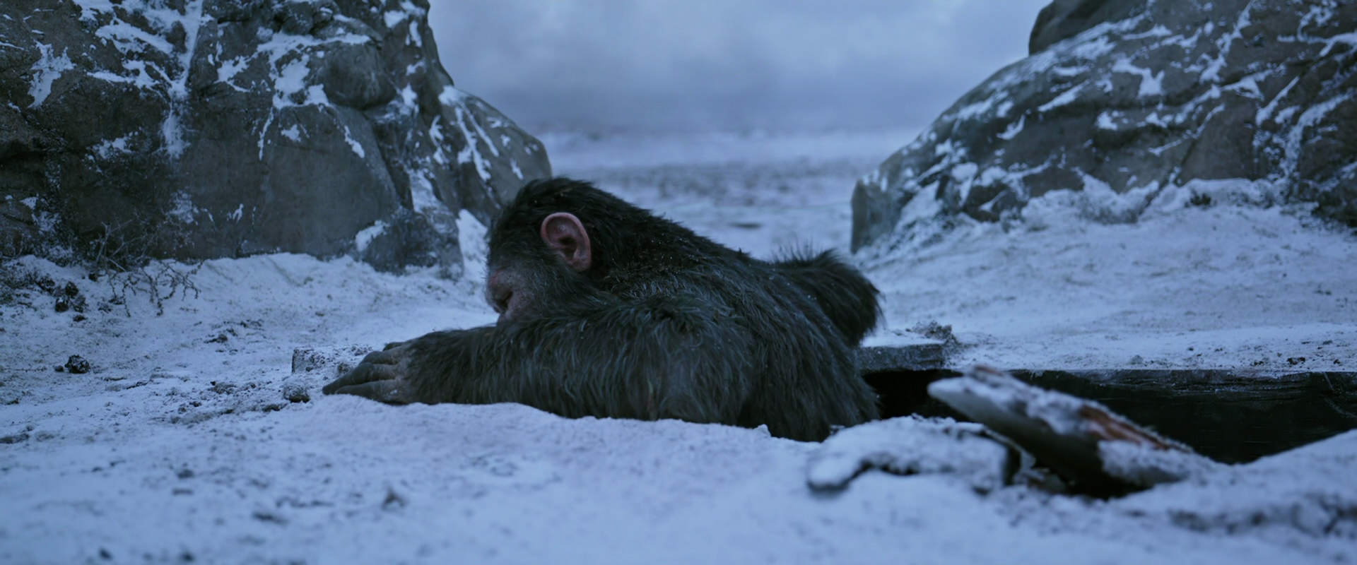 War for the Planet of the Apes (2017) screencap 14526