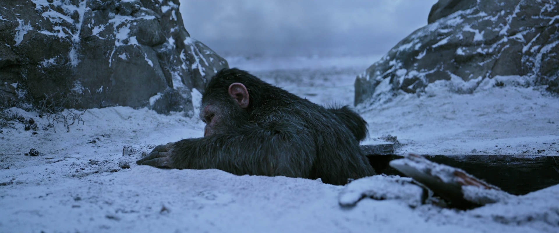 War for the Planet of the Apes (2017) movie still 14527