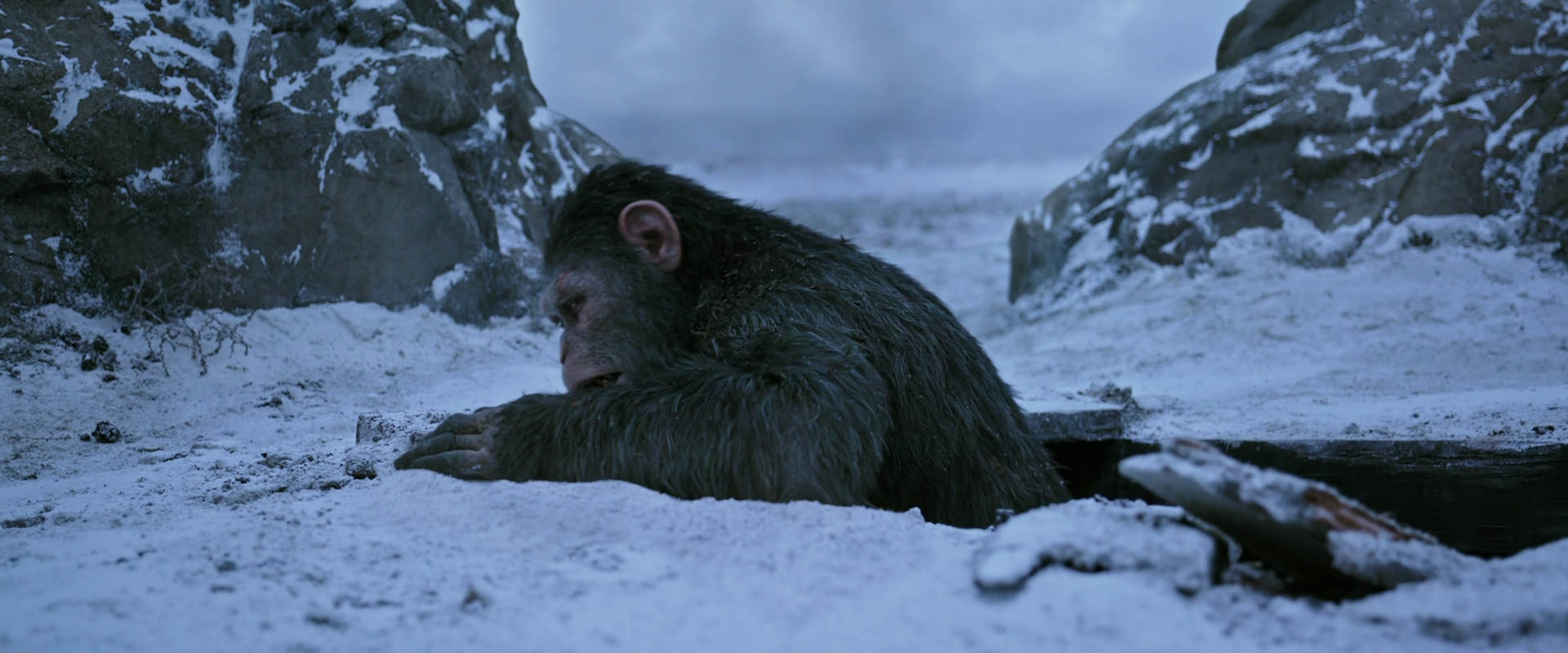 War for the Planet of the Apes (2017) HD screenshot 14528