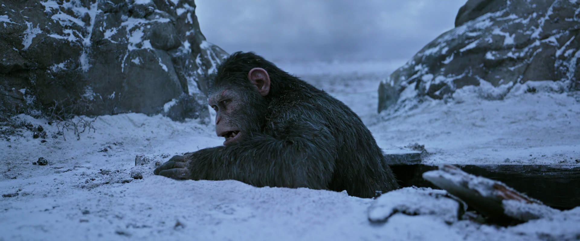 War for the Planet of the Apes (2017) screencap 14529