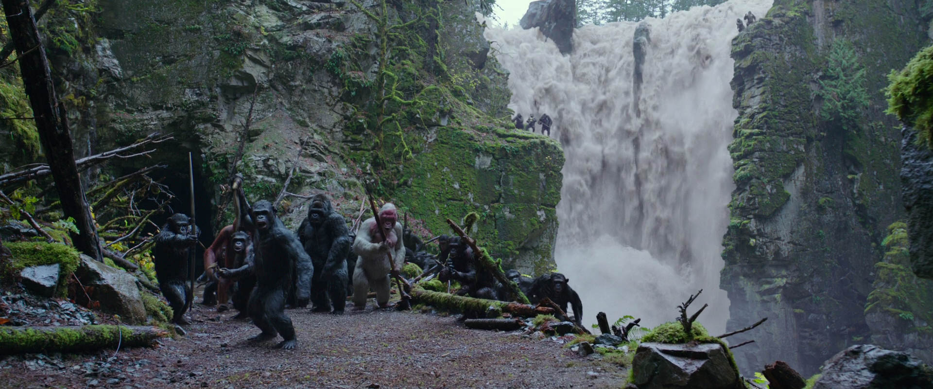 War for the Planet of the Apes (2017) movie still 1453
