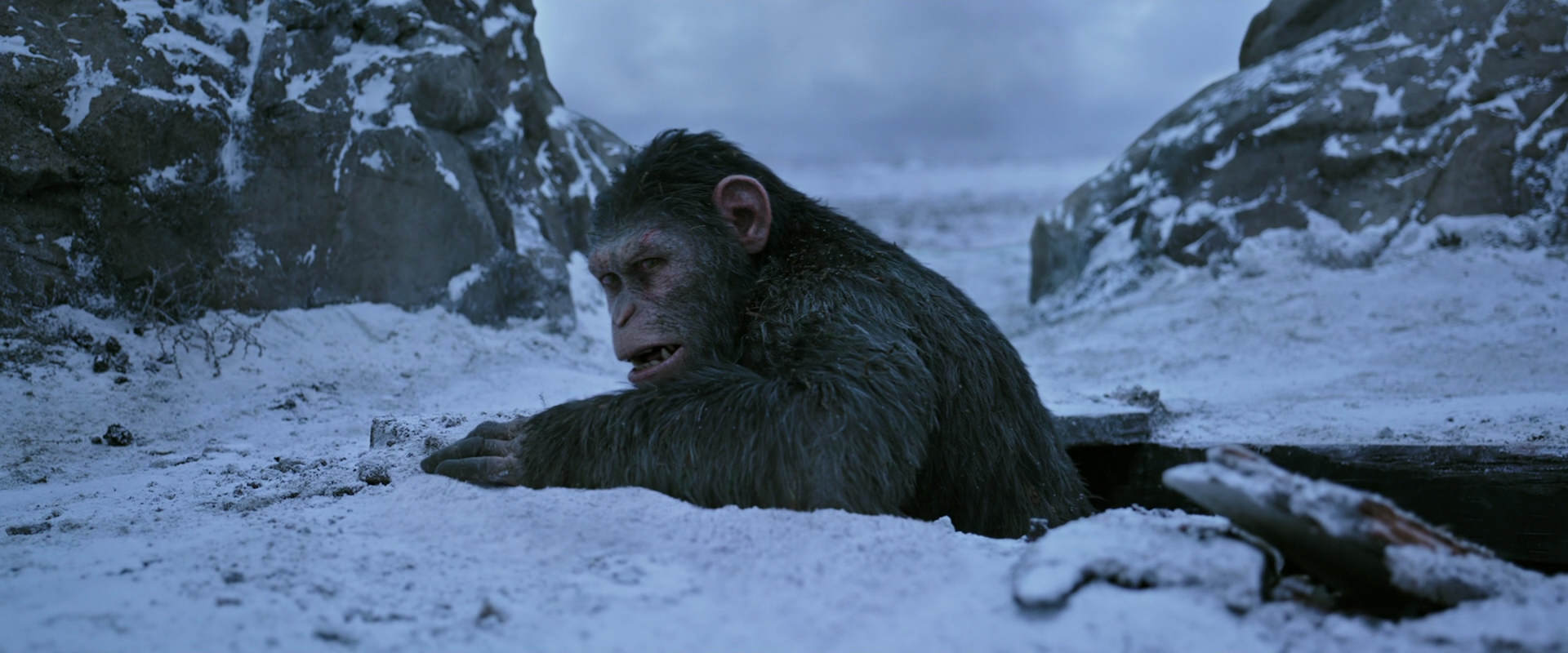 War for the Planet of the Apes (2017) movie still 14530