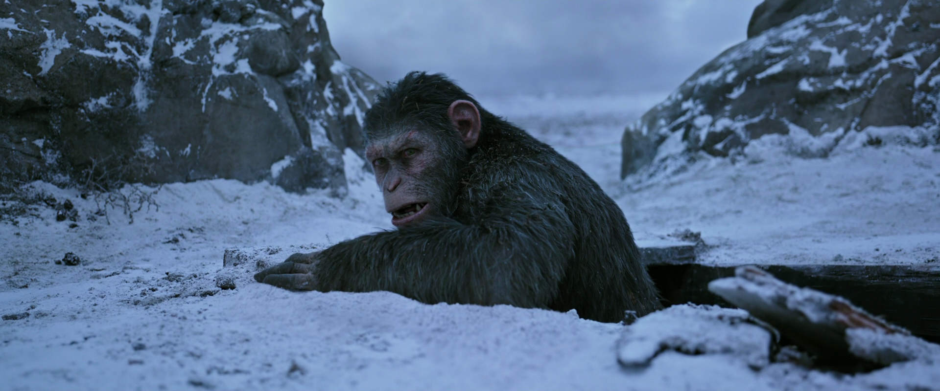 War for the Planet of the Apes (2017) HD screenshot 14531