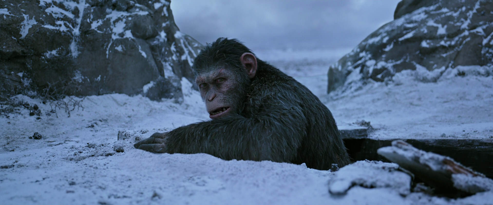 War for the Planet of the Apes (2017) screencap 14532
