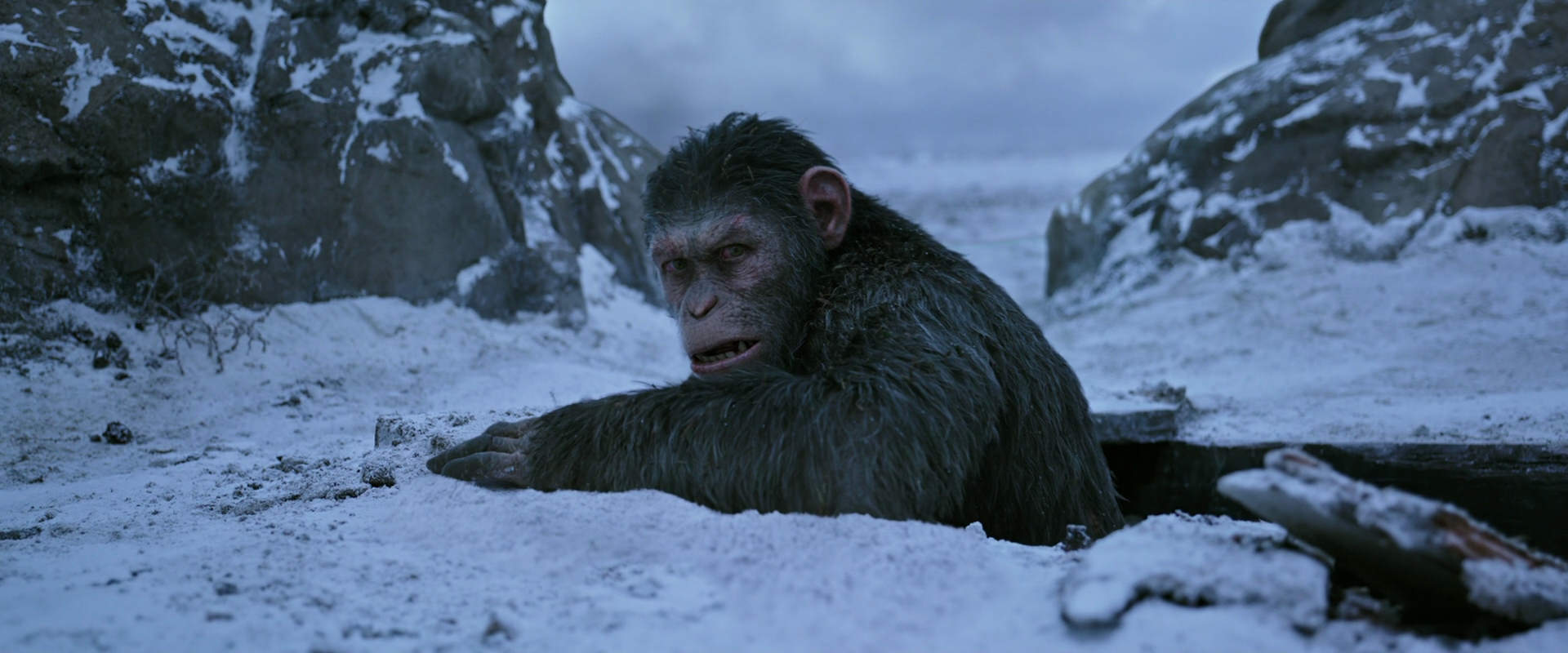 War for the Planet of the Apes (2017) movie still 14533