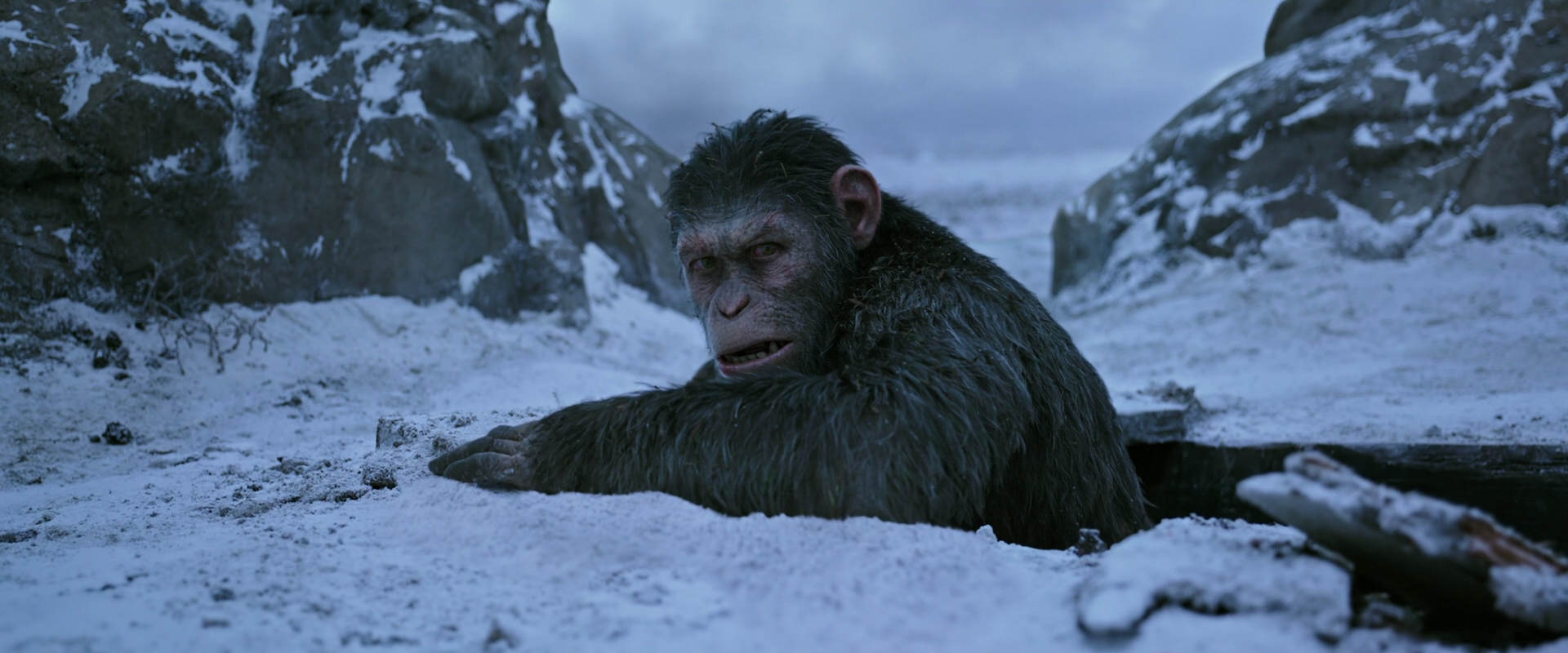 War for the Planet of the Apes (2017) HD screenshot 14534