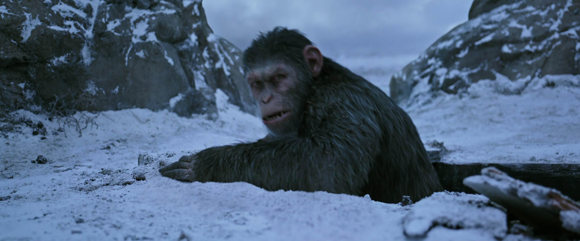 War for the Planet of the Apes (2017) screencap 14535
